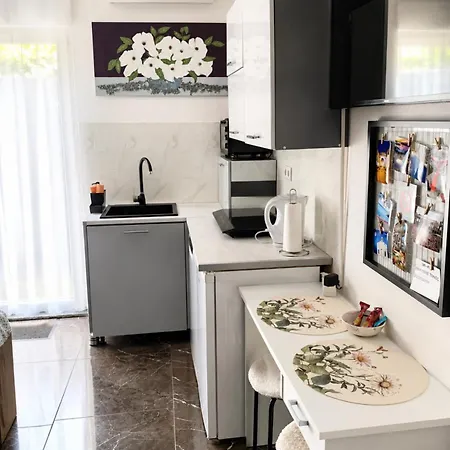 Apartment Smjestaj Za Dvije Osobe ,blizina Amfiteatra I Bus Kolodvora ,self-check- In,parking U Ulici